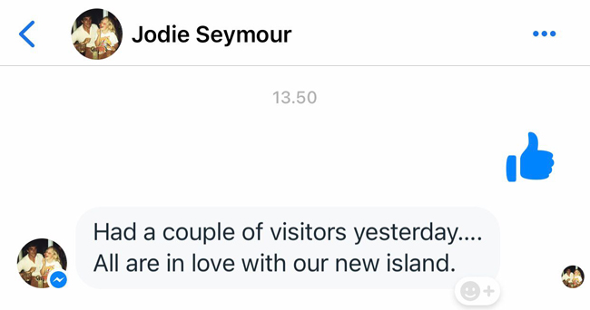 Solid Wood reviews