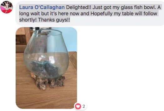 Solid Wood reviews